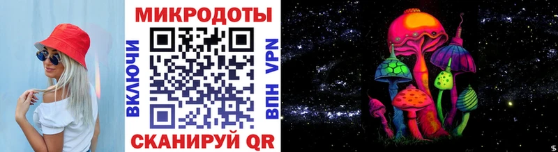 закладки  Пятигорск  Псилоцибиновые грибы GOLDEN TEACHER 