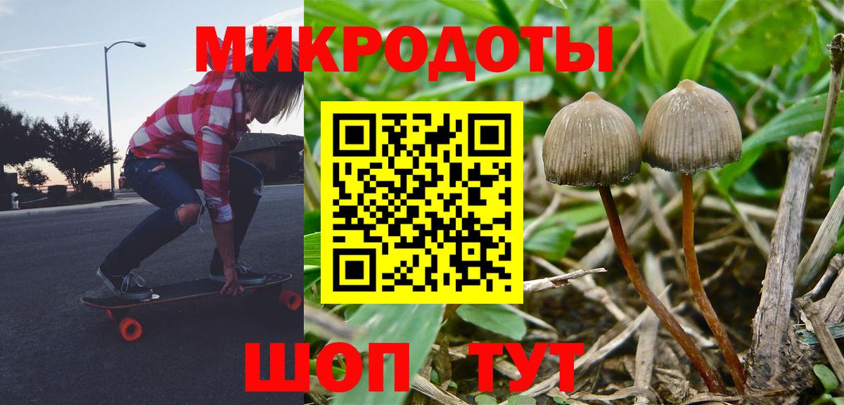 Псилоцибиновые грибы Magic Shrooms Пятигорск